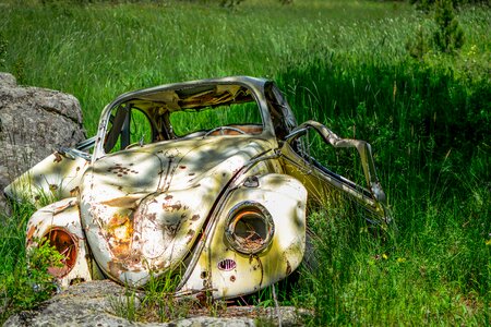 Classic grass outdoors