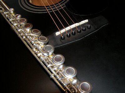 Music acoustic musical instrument