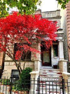 North Fremont Street, Lakeview, Chicago, IL 