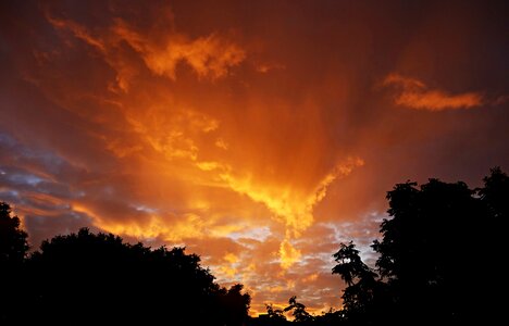 Orange clouds treetops photo