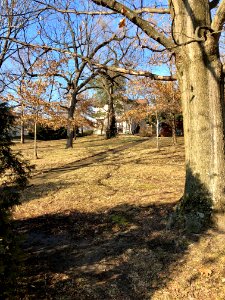 Circle Avenue, Spring Grove Village, Cincinnati, OH 