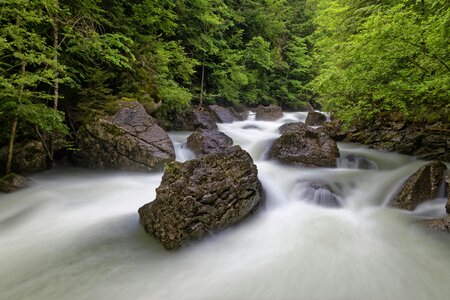 Forest river nature photo