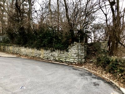 Salutaris Avenue, East Walnut Hills, Cincinnati, OH 