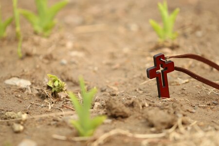 Jesus christianity resurrection