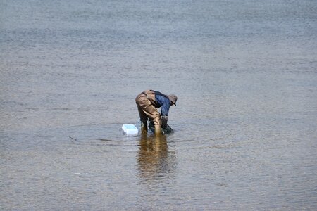 Clamming shell back