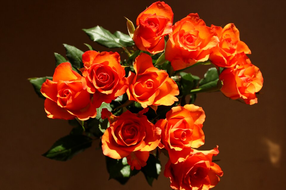 Fire nature bouquet
