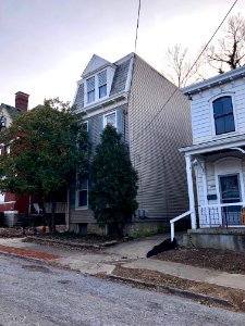 Cleinview Avenue, East Walnut Hills, Cincinnati, OH 