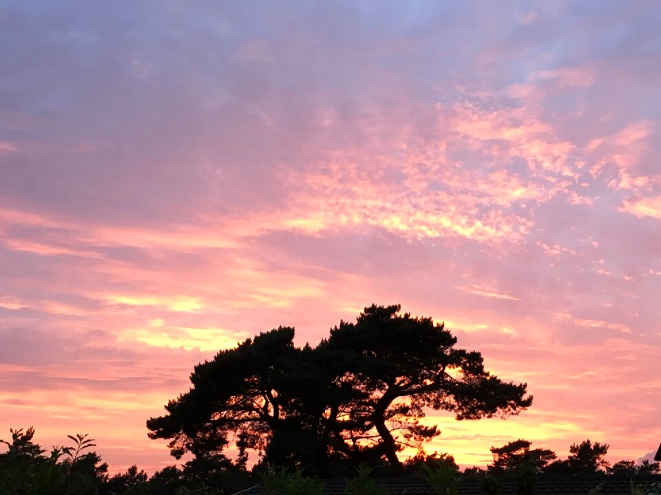 Sunset evening red summer night