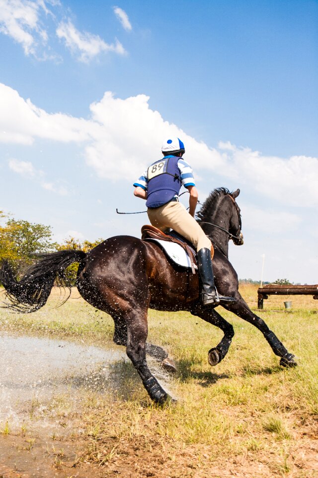 Three day event cross country equestrian