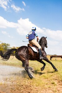 Three day event cross country equestrian