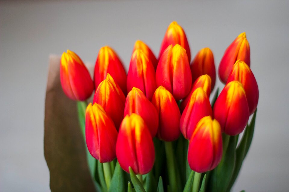 Bright multi color yellow