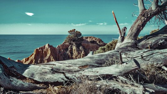 Sea seascape portugal
