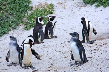 Beautiful beach boulders beach