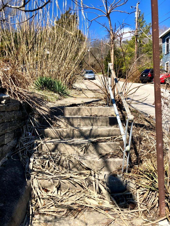 Ansonia Avenue Steps, Sedamsville, Cincinnati, OH 