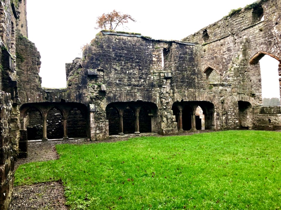 Cloister, Bective Abbey, Beigthigh, Éire 
