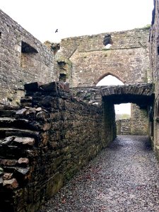 Bective Abbey, Beigthigh, Éire 