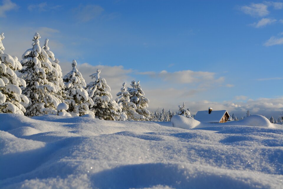 White nature snow covered photo