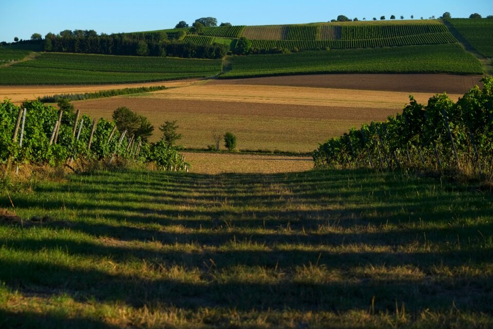 Away outlook panorama