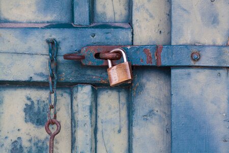 Wood green turquoise blue photo