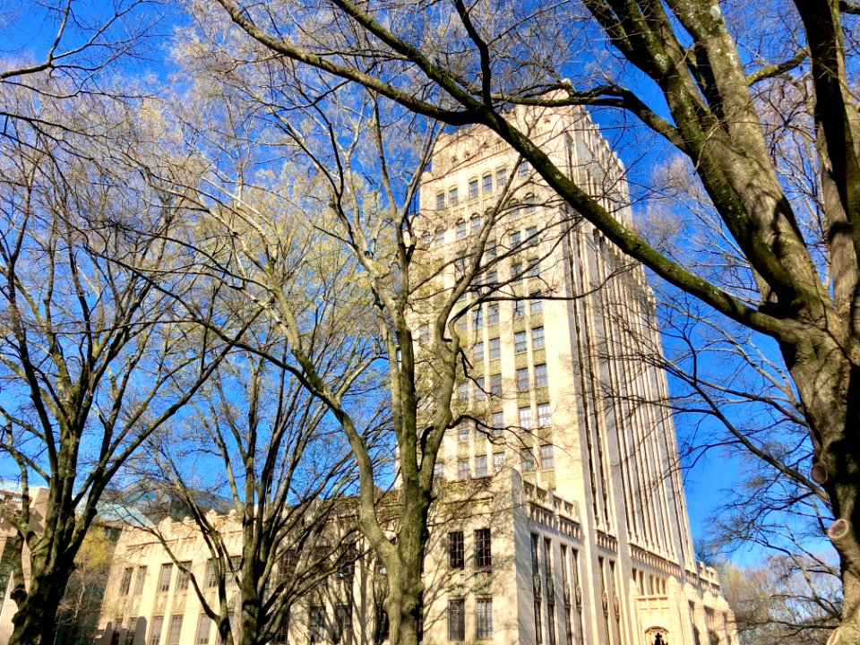 Atlanta City Hall, Atlanta, GA 