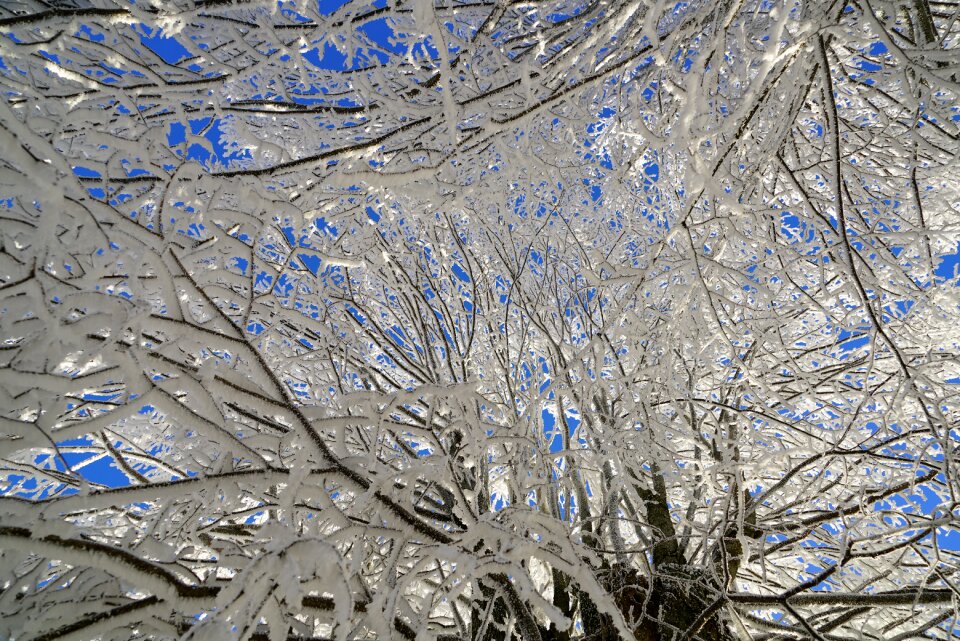 Iced crystal formation snowy