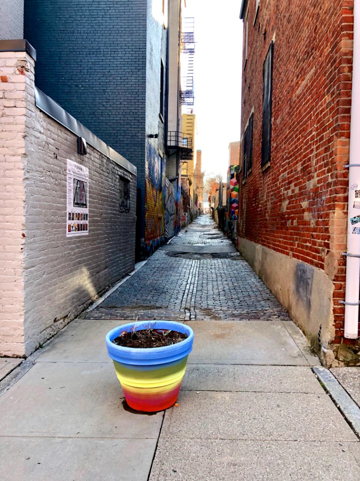Bolivar Alley, Pendleton, Cincinnati, OH 