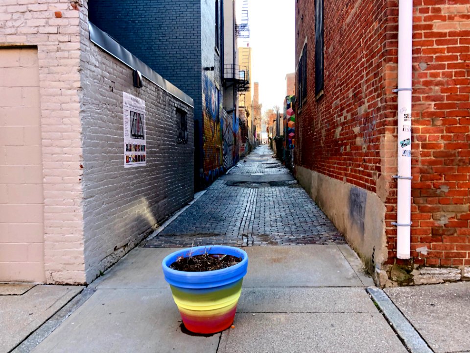 Bolivar Alley, Pendleton, Cincinnati, OH 