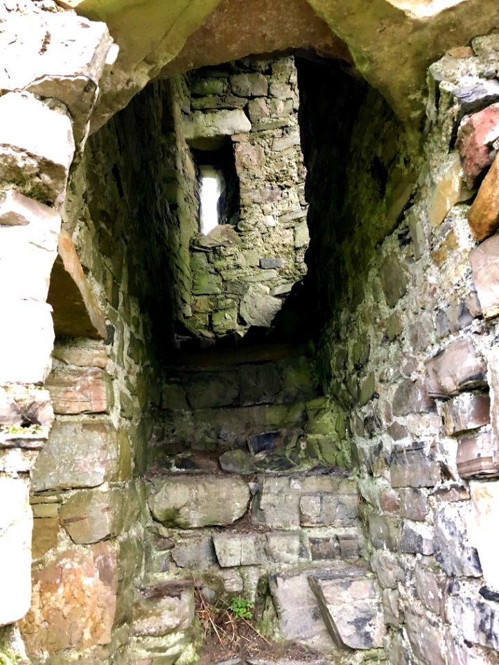 Old Ardmulchan Church, Ard Maoíchon, Éire 