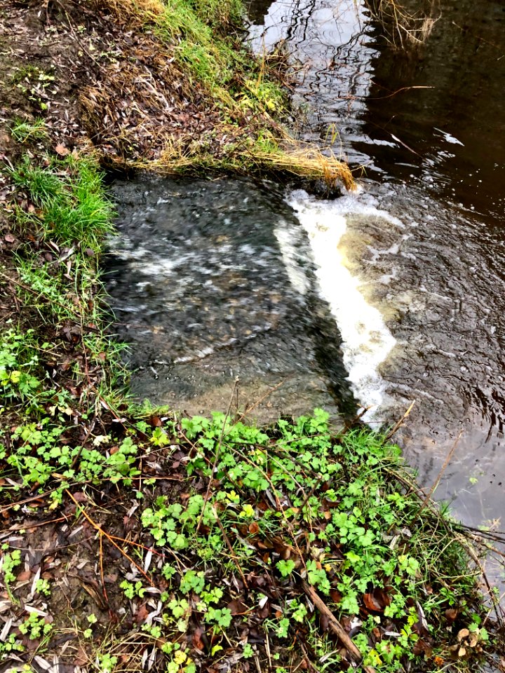 Moat, Trim Castle, Baile Átha Troim, Éire 