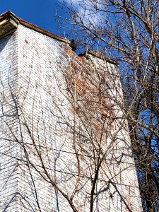 Vulture Perch, Mohawk Street, Over-the-Rhine, Cincinnati, … 