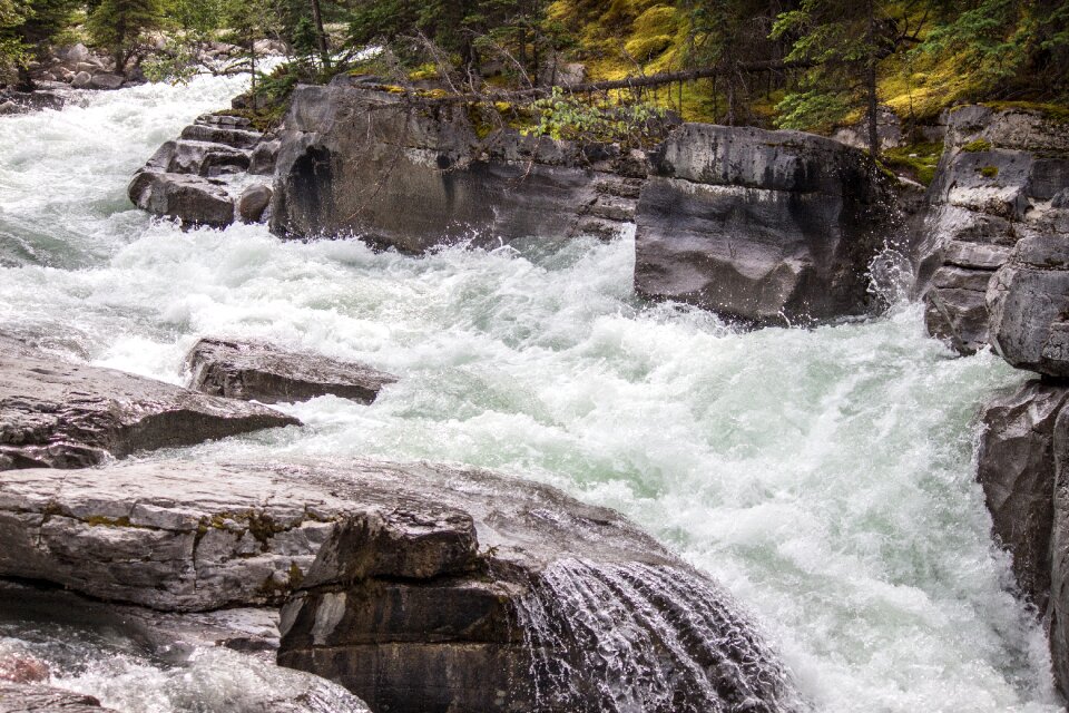 Water nature flowing