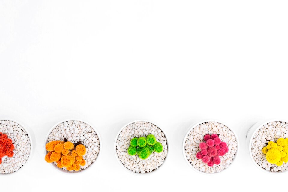 Colorful plants aligned