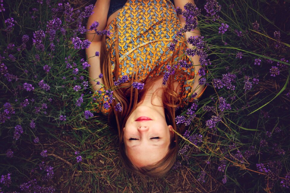 Happiness purple flowers