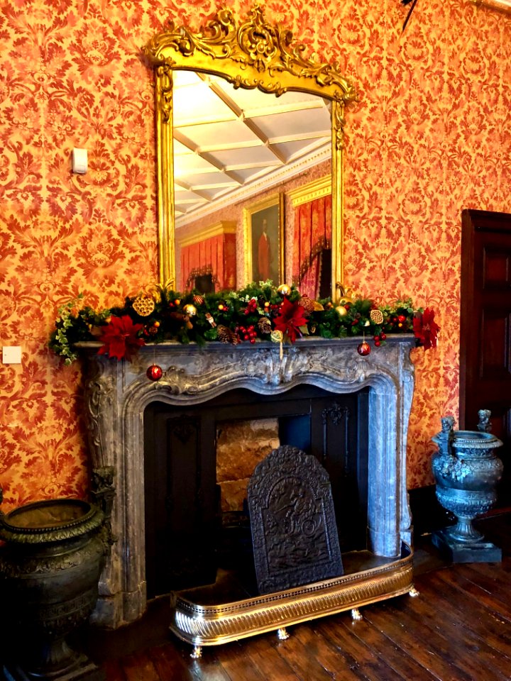 Dining Room, Kilkenny Castle, Cill Chainnigh, Éire 