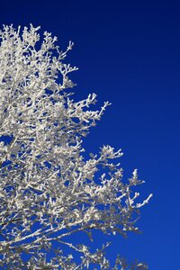 Winter picture winter photography winteraufnahme