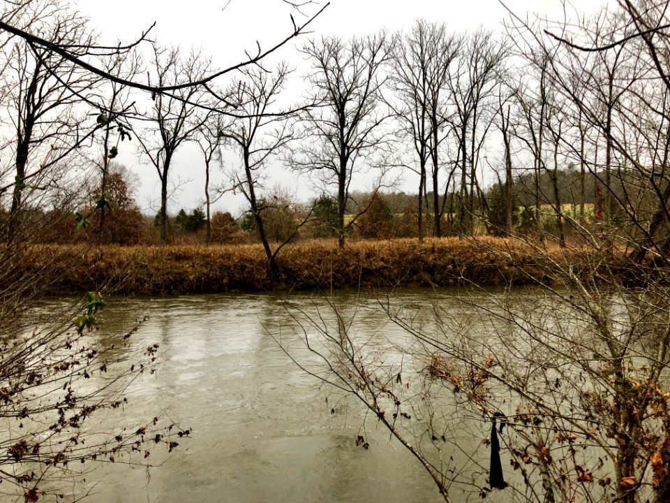 Cowee Mound Site, Cowee, NC 