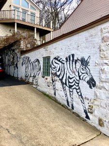 Zebra Mural, Dorsey Street, Mount Auburn, Cincinnati, OH 