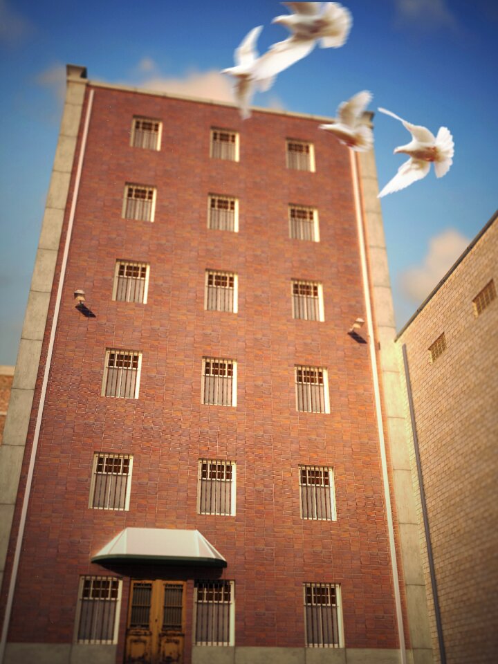 Jail freedom brown prison