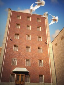 Jail freedom brown prison