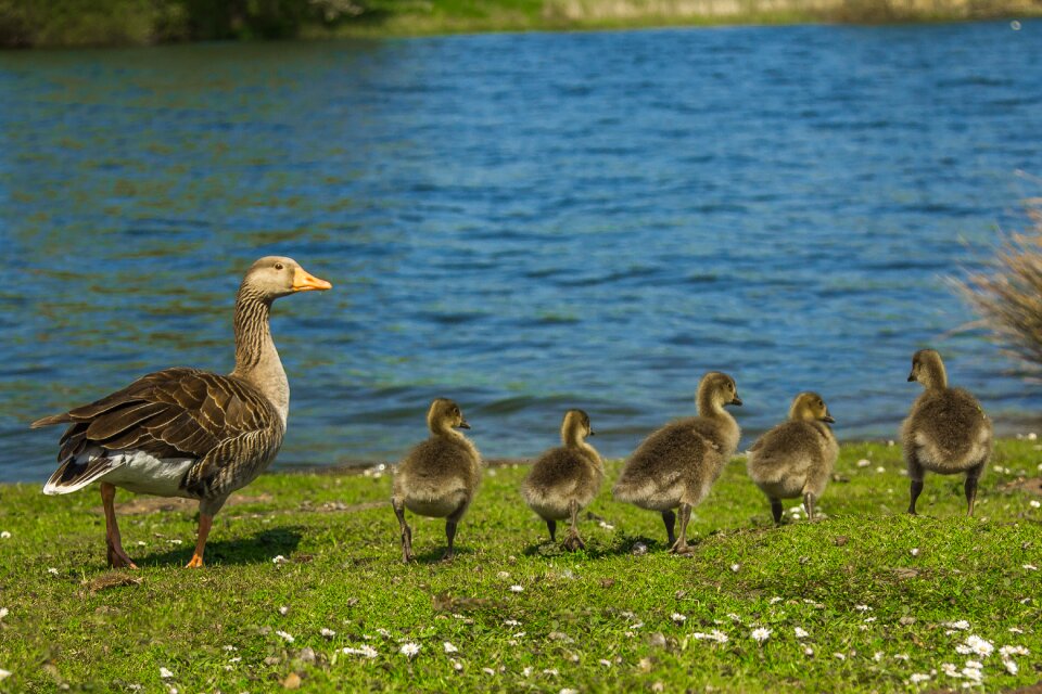 Family spring nature