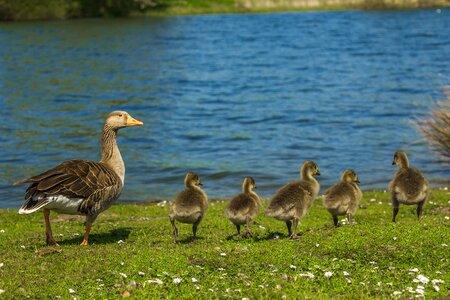 Family spring nature