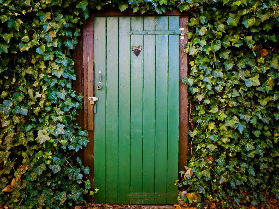 Old door wood break up