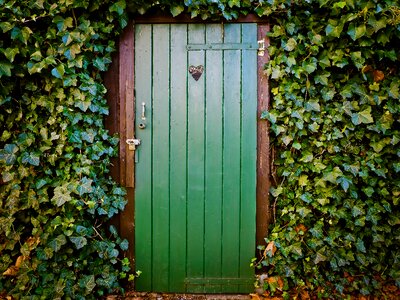 Old door wood break up