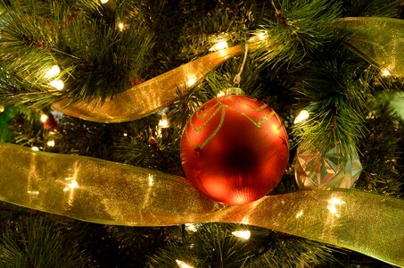 Xmas festive season