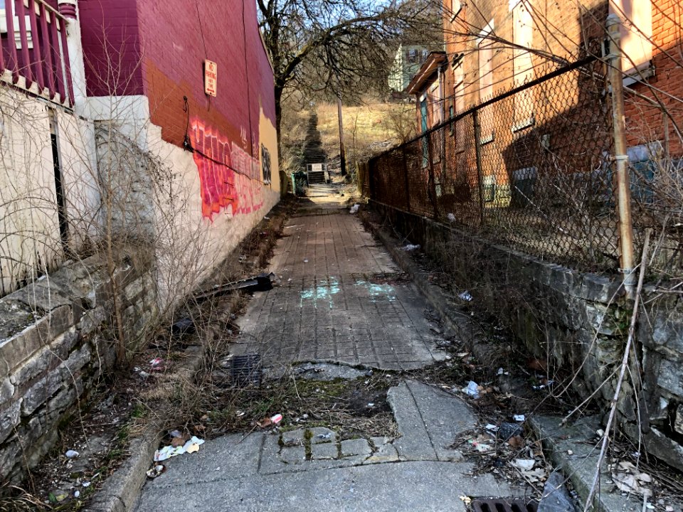 Kebler Alley, South Fairmount, Cincinnati, OH 