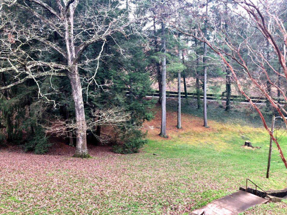 Woodland Amphitheater, Western Carolina University, Cullow… 