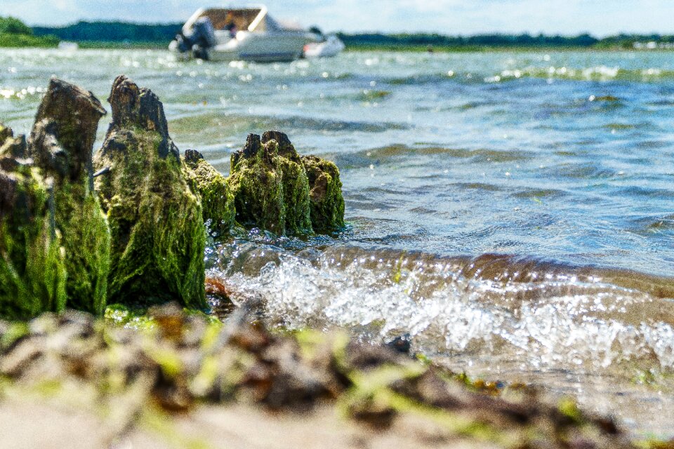 Coast baltic sea coast bank