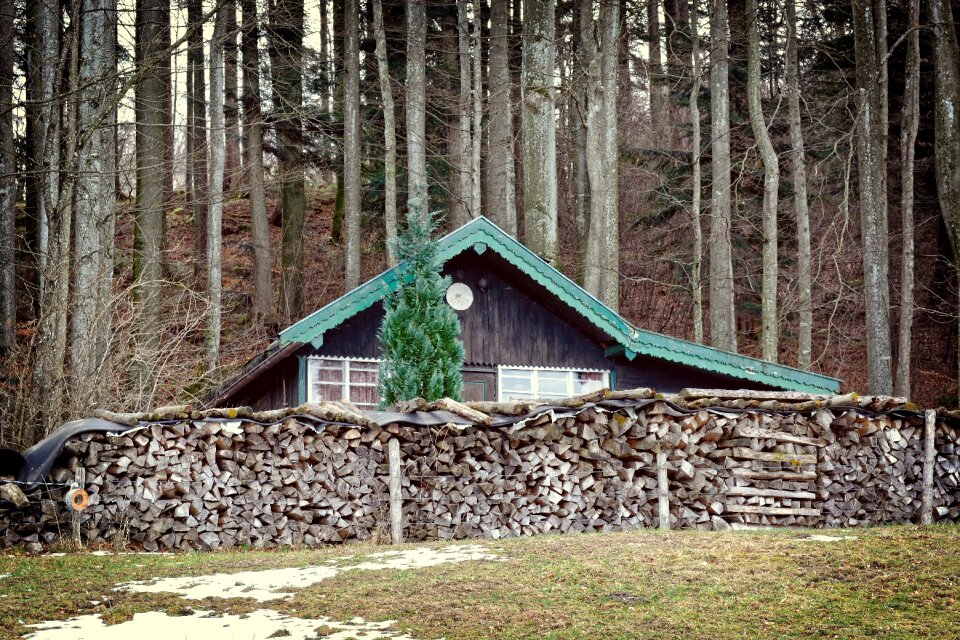 Nature log cabin wood