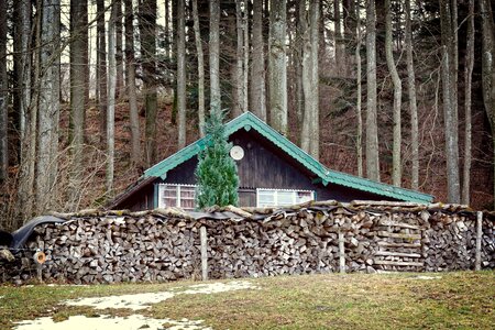 Nature log cabin wood photo