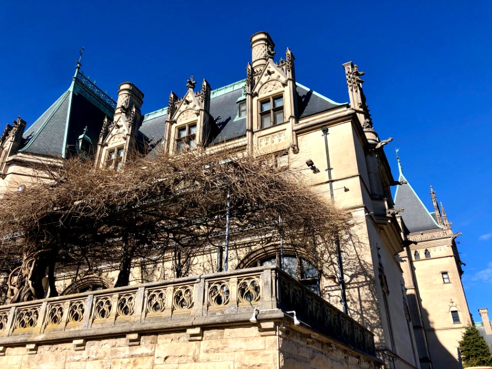 Library Terrace, Biltmore Estate, Asheville, NC 